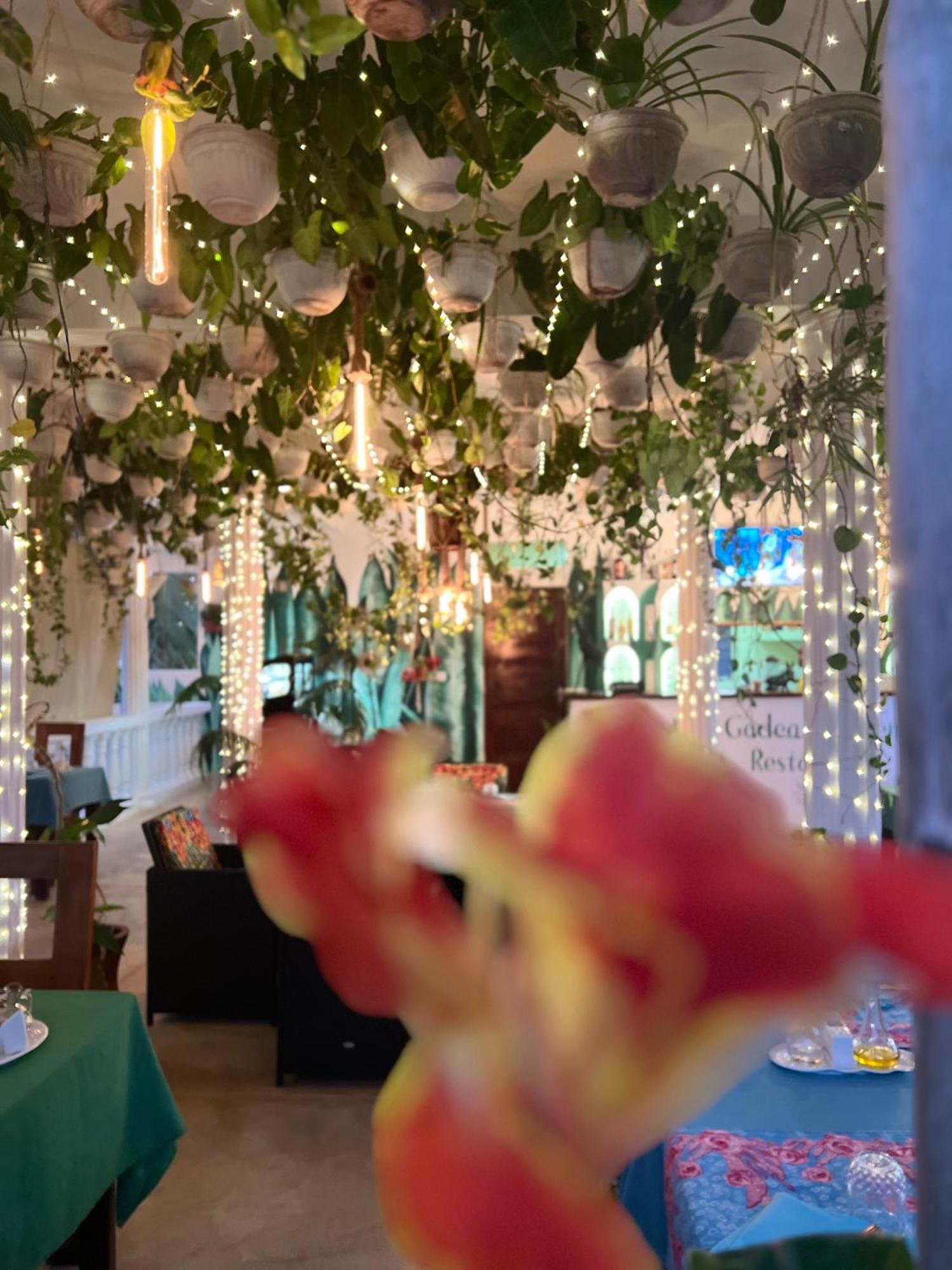 גאמביאני Gadea Boutique Hotel& Gadea Garden Italian Restaurant (Adults Only) מראה חיצוני תמונה